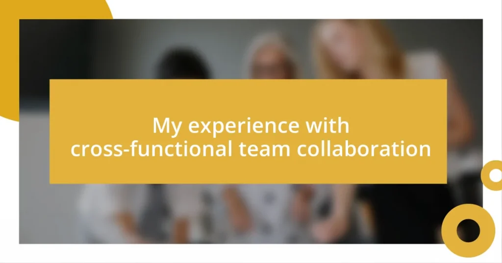 My experience with cross-functional team collaboration