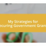 My Strategies for Securing Government Grants